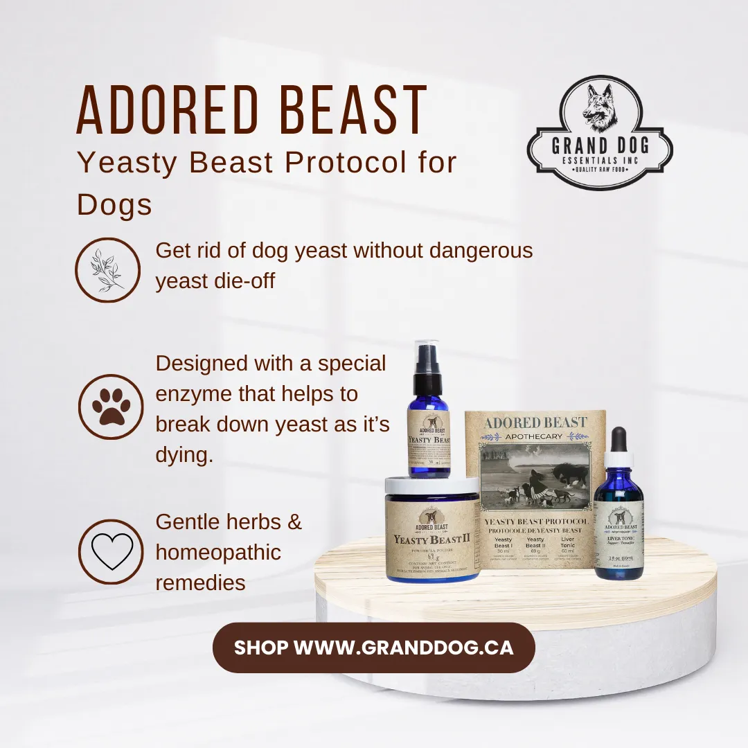 Adored Beast Yeasty Beast Protocol for Dogs (3 Product Kit)