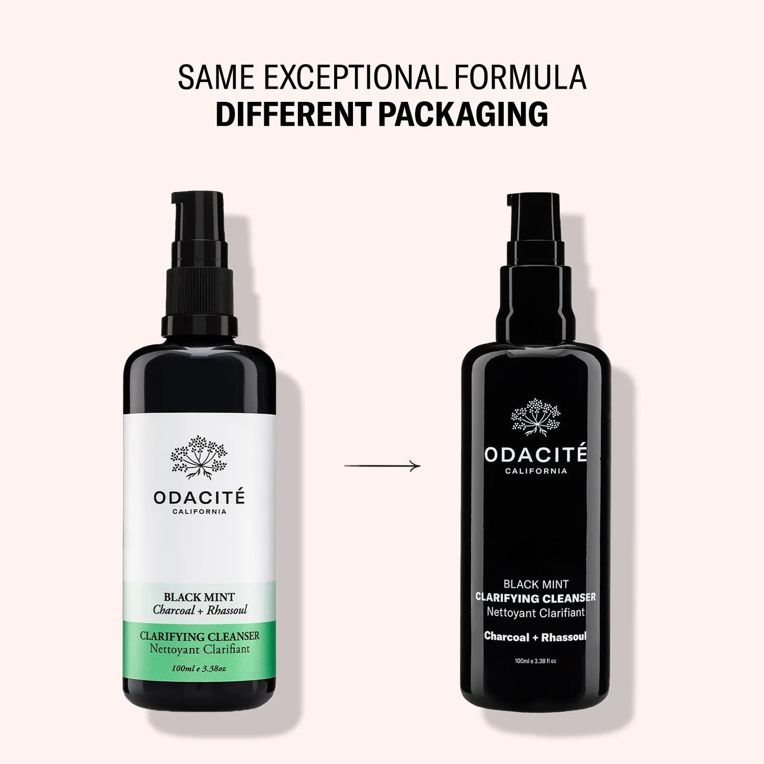 Black Mint • Charcoal   Rhassoul • Clarifying Cleanser