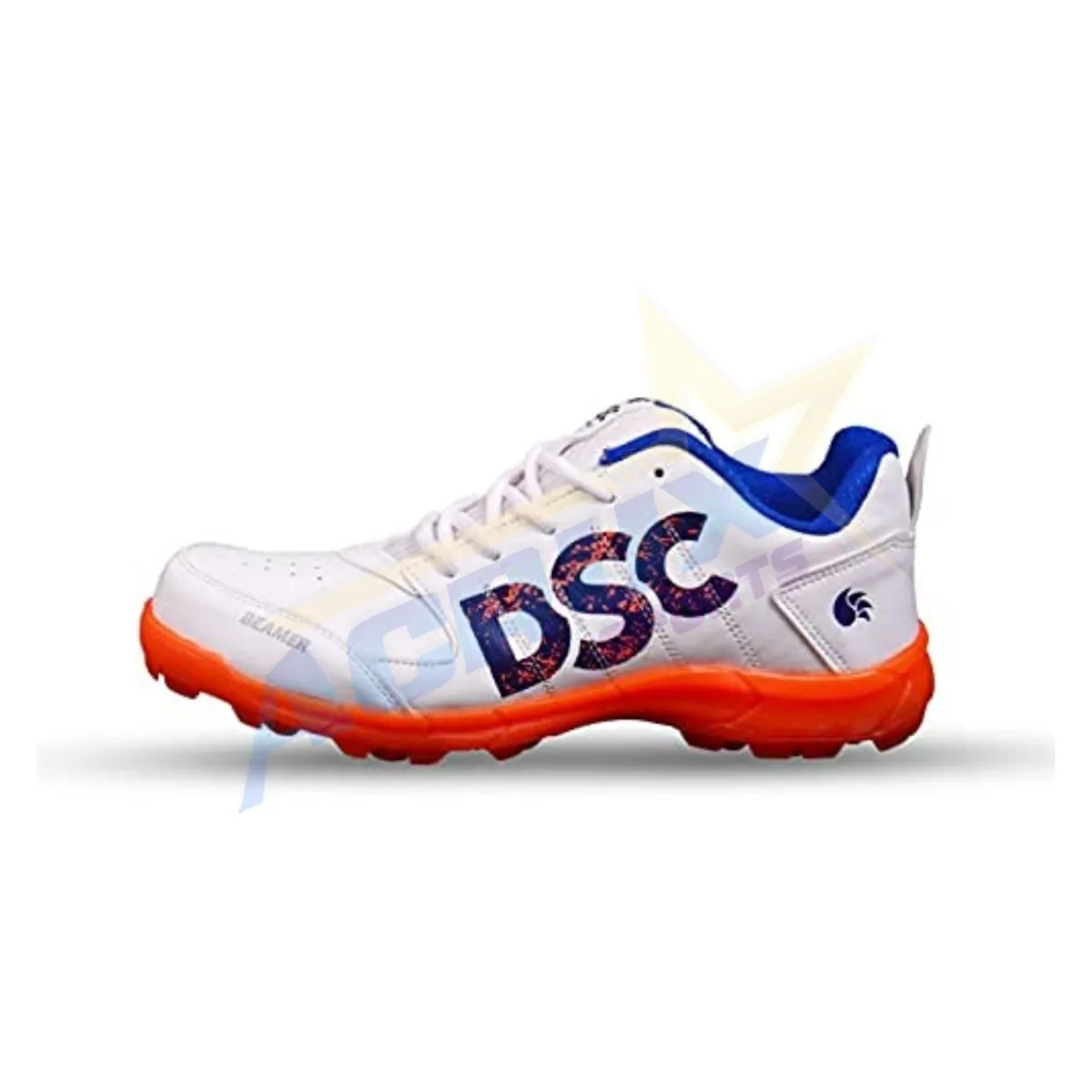 DSC Beamer Cricket Shoes