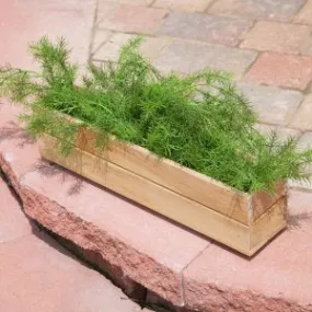 Herb Box