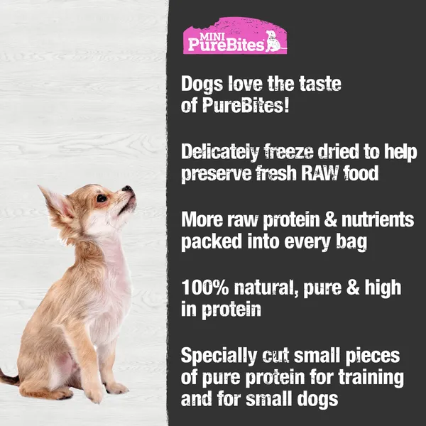 PureBites Freeze Dried Mini Training Salmon Dog Treats, 49g